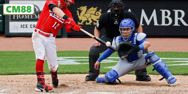 Lý Do Cá Độ Bóng Chày Tại CM88 Được Yêu Thích